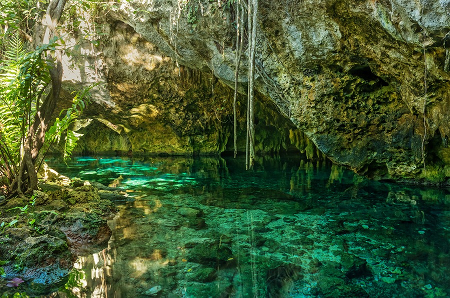 Grand Cenote in Mexico.