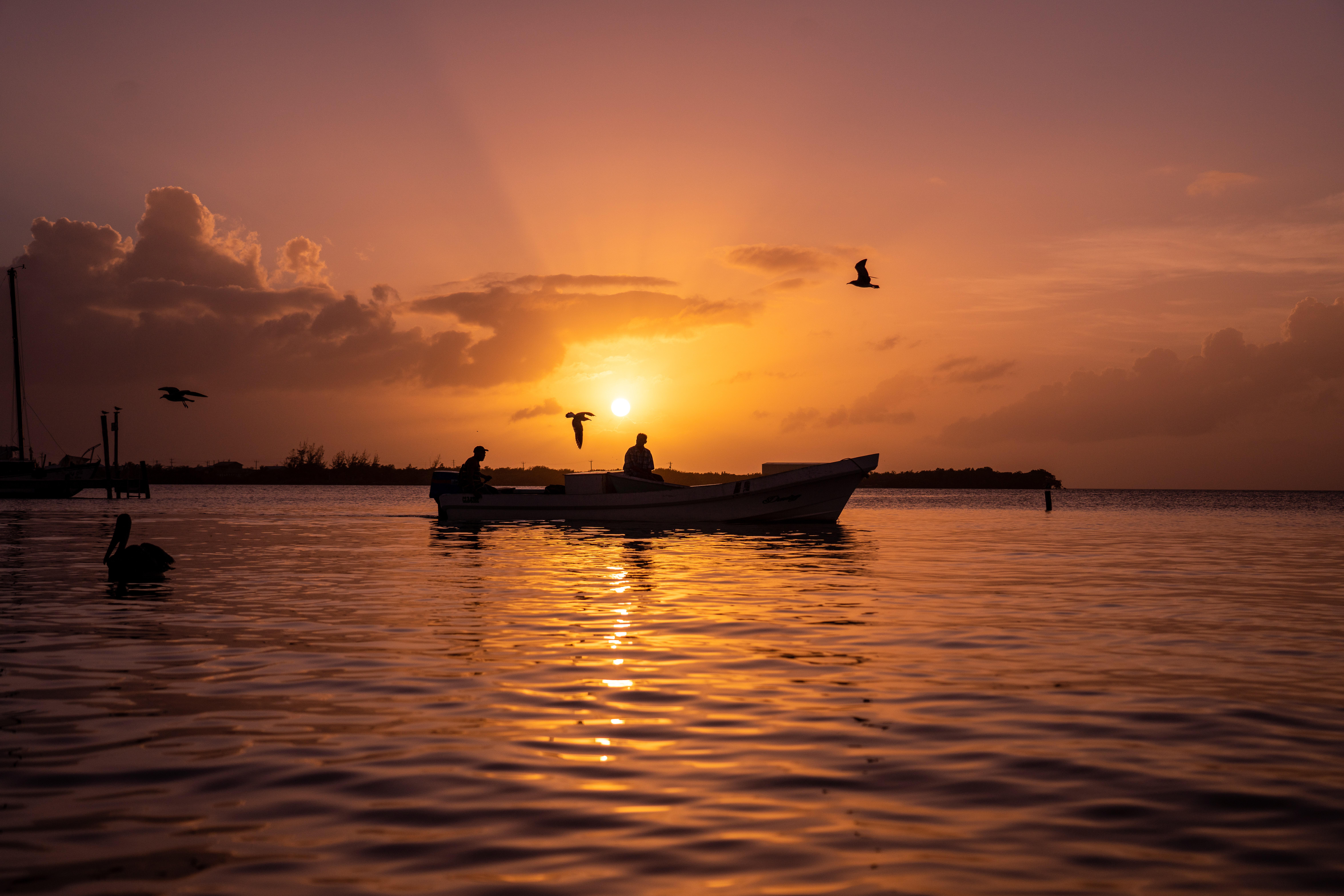 greg-ribaloff-1mG4gnMnmeo-unsplash greg-ribaloff-1mG4gnMnmeo-unsplash