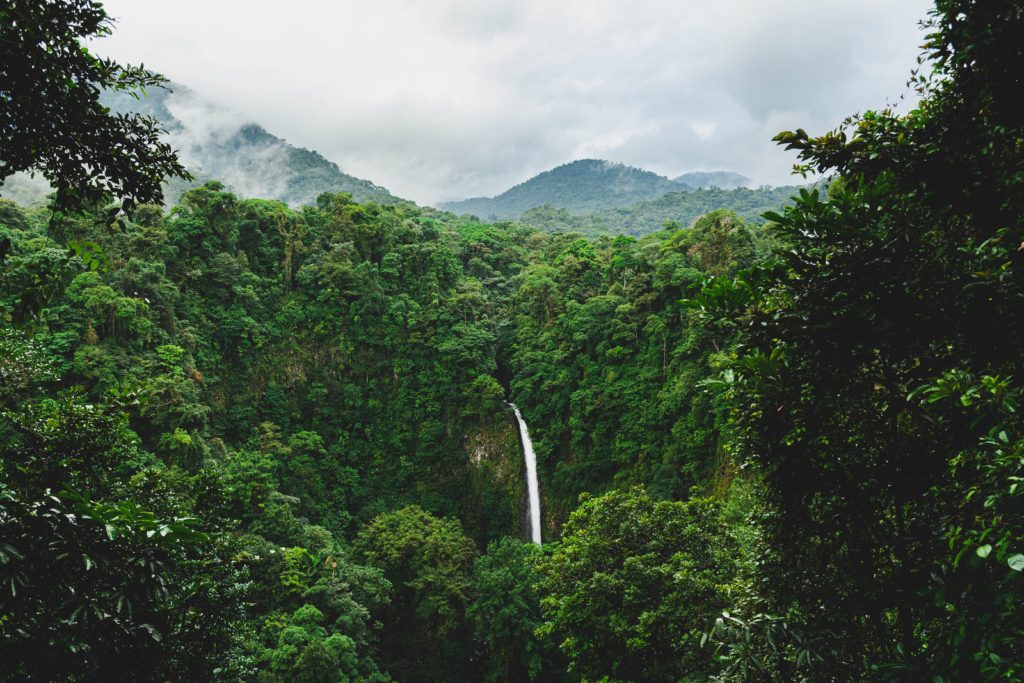 etienne-delorieux-e5sp18O40yA-unsplash etienne-delorieux-e5sp18O40yA-unsplash
