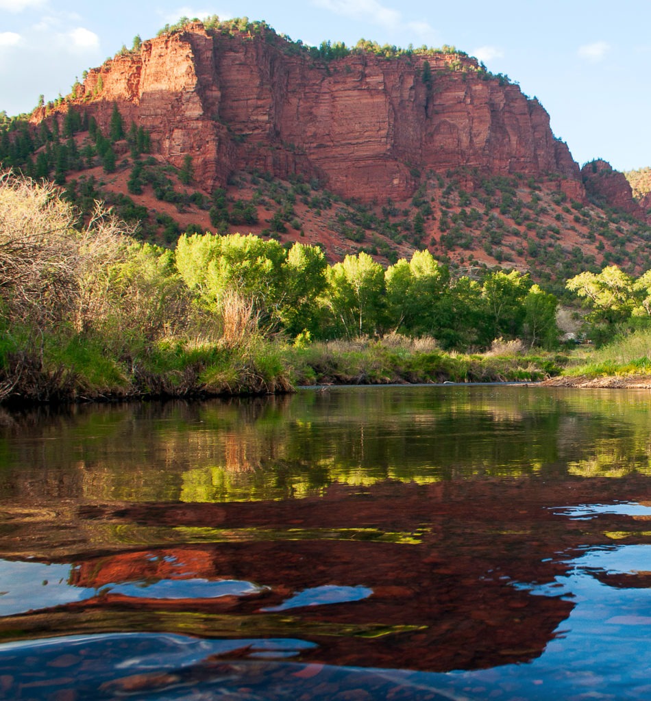 Colorado landscape with river and aspen trees